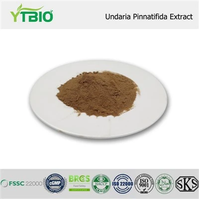 Екстракт Undaria Pinnatifida